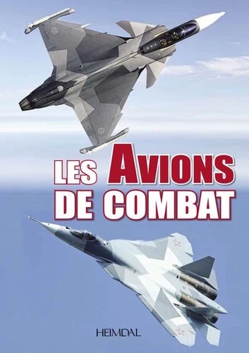 <em>Les avions de combat</em>
